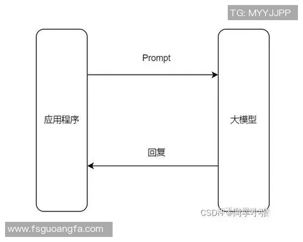 杭州排球队战术解析：聚焦球队战术创新与实战应用